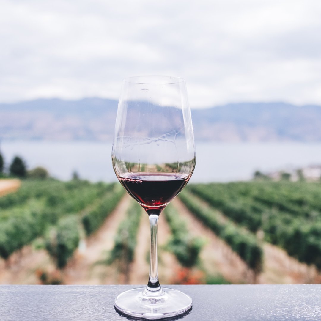 Los próximos 3 y 4 de julio tendrá lugar la 2ª edición del curso sobre "Los vinos de Sevilla" en Olavide en Carmona 🍷👌📄

👉 goo.su/ghuaXz

#sevilla #gastronomia #vino #formacion