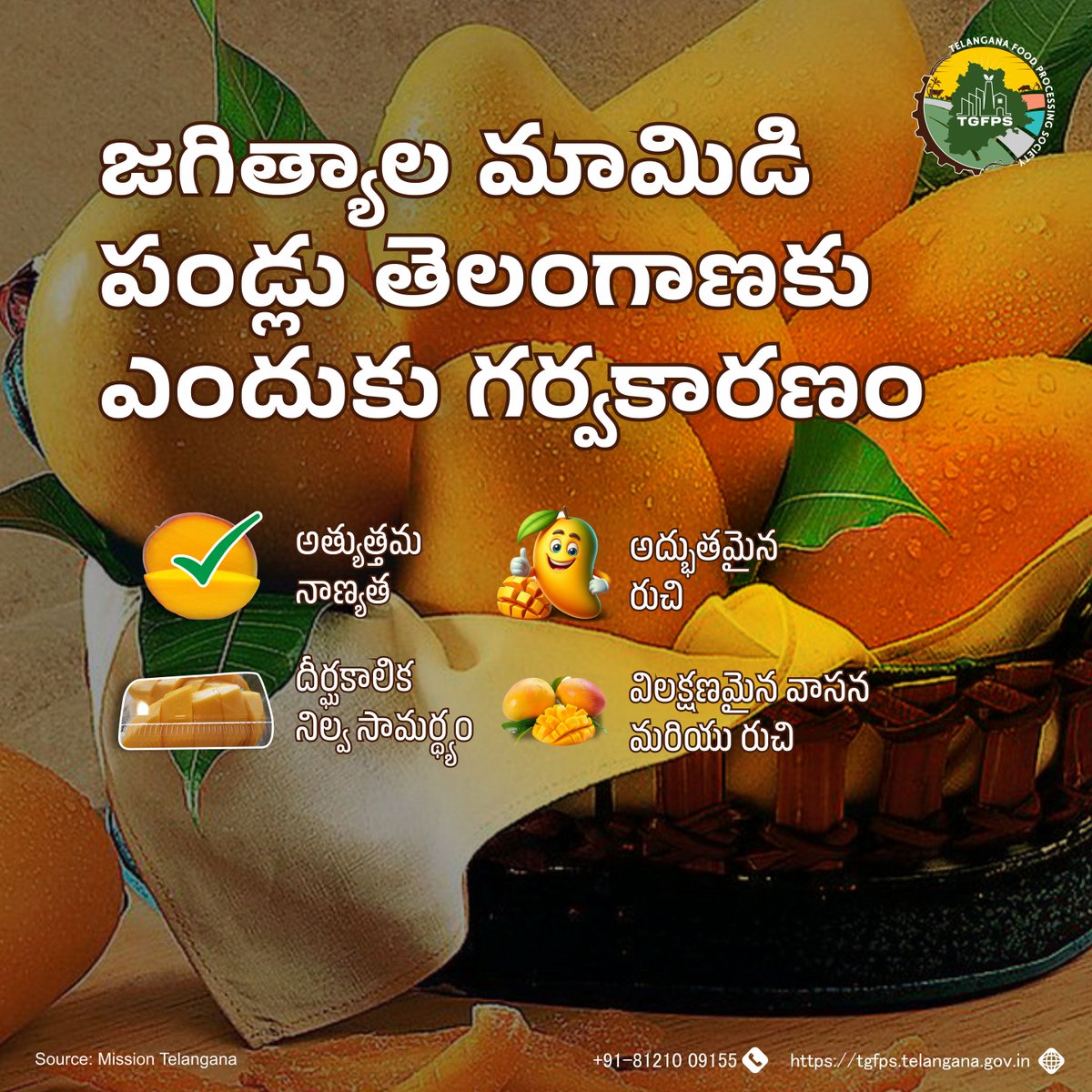 Telangana_FPS's tweet photo. జగిత్యాల మామిడి పండ్లు తెలంగాణ వ్యవసాయ శ్రేష్ఠతకు చిహ్నం. 
ఈ ప్రాంతం అంతటా వాటిని కాలానుగుణంగా ఇష్టపడేది ఏమిటో తెలుసుకోండి! 

#Telangana #TelanganaFoodProcessing #TGFPS #SeasonalFavorite #AgriculturalExcellence #MangoSeason #JagtialMangoes #MangoLovers #LocalDelicacies #FreshProduce