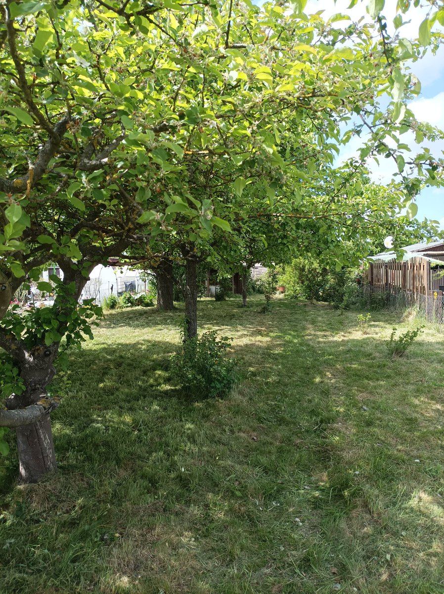mamipirat's tweet image. Guten Morgen ihr Lieben, habt ihr gut geschlummert? 🌱☀️☔Wir haben endlich ein #Garten anmieten können 🌳 Für den Kleenen ist es wichtig und förderlich. #ADHS Nun benötigen wir alles was für ein Garten benötigt wird. Es ist noch viel Arbeit, aber wunderschön 🌹🌿🌺🍎🌼🦋🍒