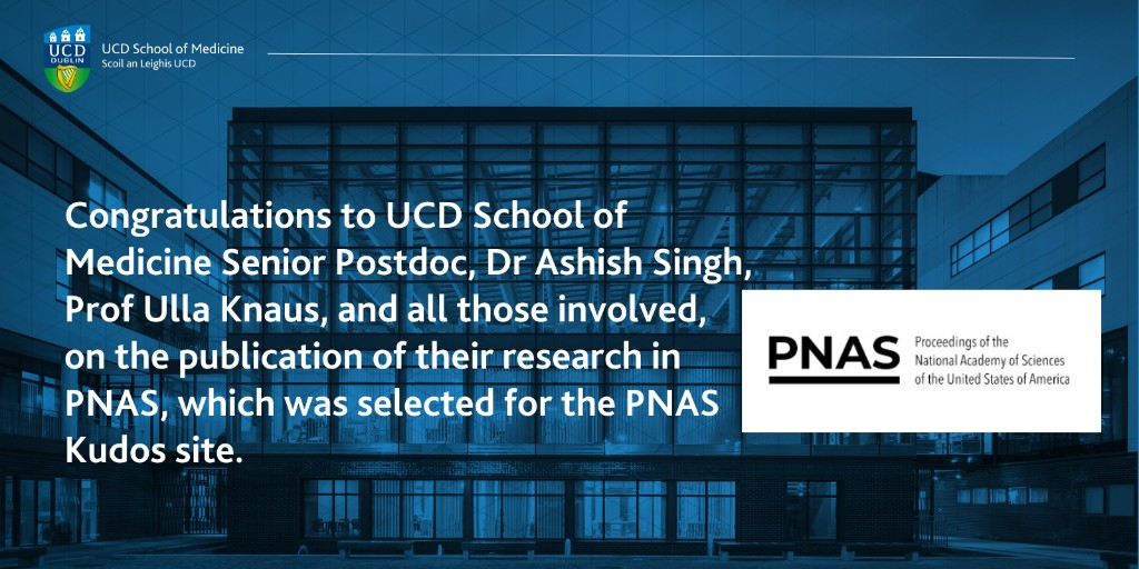 UCD Medicine (@ucdmedicine) on Twitter photo New research presents a major breakthrough for drug discovery in inflammatory diseases. Reported in PNAS, the UCD led research team have found a new, very promising target for Inflammatory Bowel Disease. Discover more👉bit.ly/4jk3dGf <a href="/UCD_Research/">UCD Research</a> <a href="/ucddublin/">University College Dublin</a> <a href="/UCD_Conway/">UCD Conway Institute</a> New research presents a major breakthrough for drug discovery in inflammatory diseases. Reported in PNAS, the UCD led research team have found a new, very promising target for Inflammatory Bowel Disease. Discover more👉bit.ly/4jk3dGf <a href="/UCD_Research/">UCD Research</a> <a href="/ucddublin/">University College Dublin</a> <a href="/UCD_Conway/">UCD Conway Institute</a>