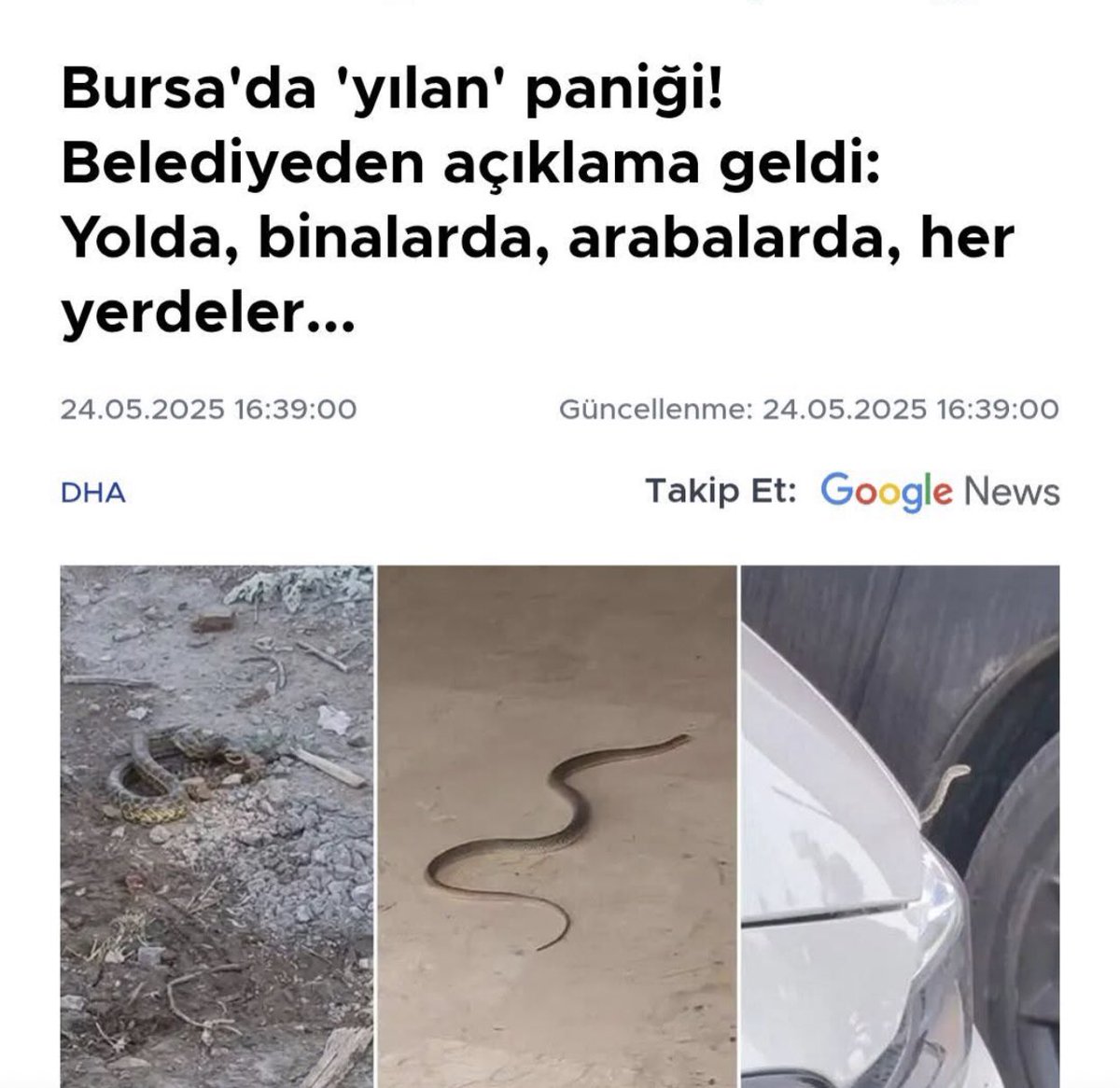 Türlü yalan ve iftirayla trol ordusuyla kendisini basın mensubu zanneden haber şarlatanları işsiz güçsüz sözde uzman desteğiyle sokakları dar ettiniz  toplattınız Gecelerimizin görünmeyen  kahramanları Köpeklerimizin Kedilerimizin Katledilmesine sebep oldunuz  şimdi beter olun