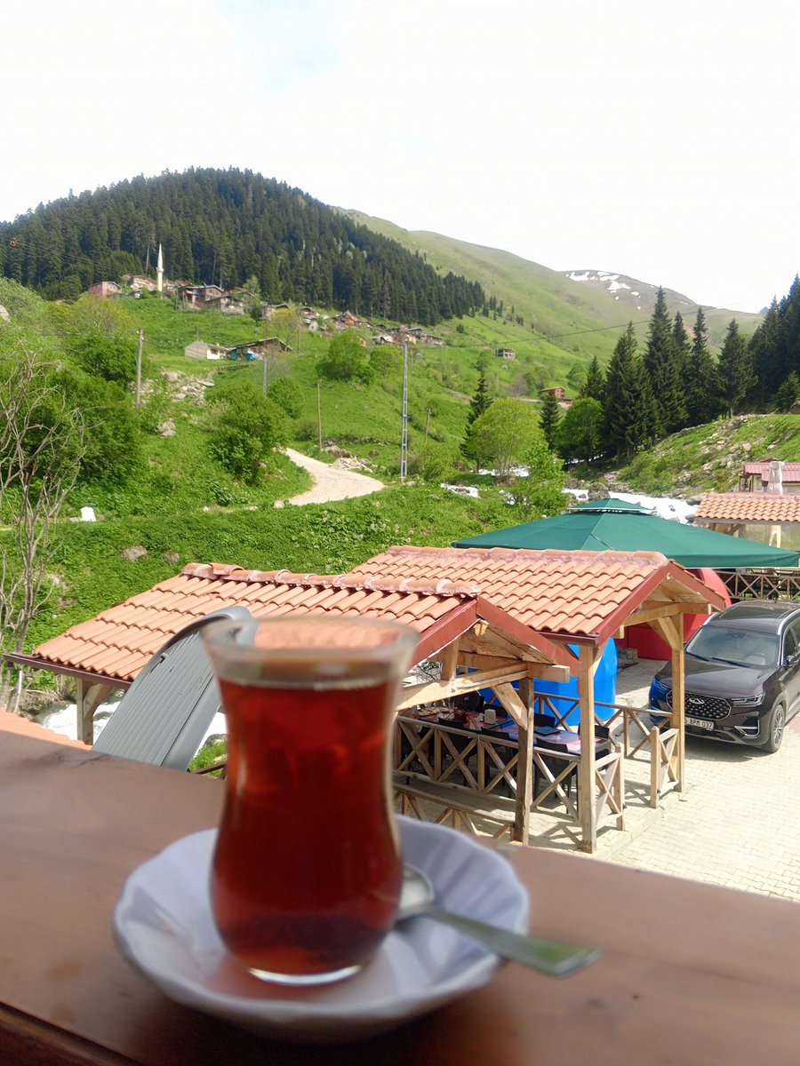 Her seye zam gelirken insanlik ucuzluyor.. ✍️🐞