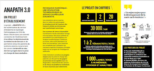 cmarkea's tweet photo. Santé : mécène du @Fonds_innoveo CHU de Brest, @cmarkea soutient Anapath 3.0 au service d’un meilleur diagnostic du cancer
▶️https://t.co/CDD7vTTVZh https://t.co/s3fRiS7Rha