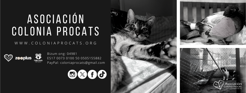 Colonia Procats tweet media