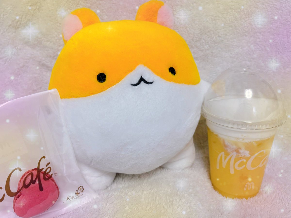寄り道マックしちゃお🐹✨

#はむちゃんといっしょ