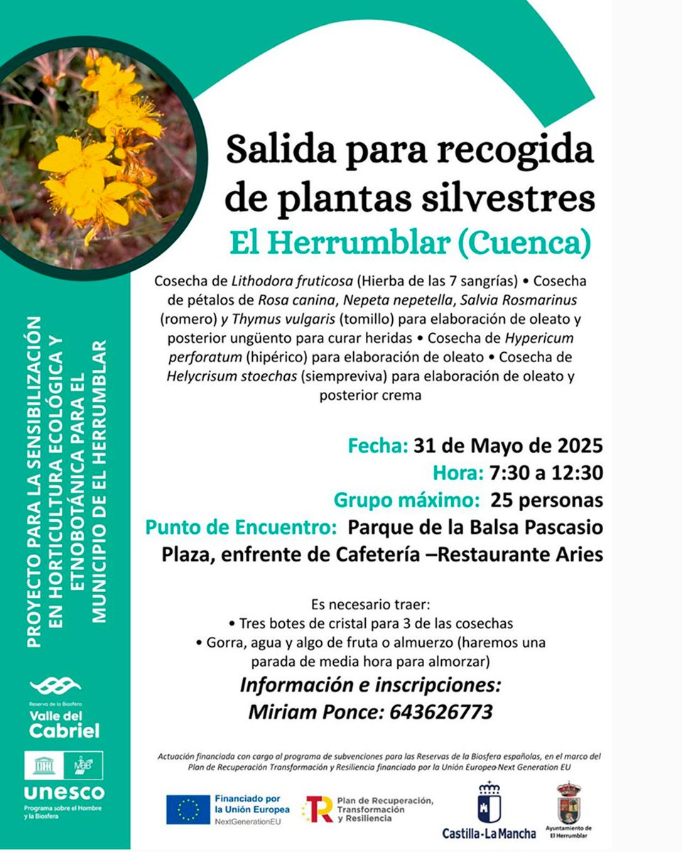 ¡Vecinos de El Herrumblar! Este sábado tenéis una salida para recolectar plantas silvestres y elaborar oleatos y cremas naturales 🧴

⏰ 7:30–12:30 | Máx 25 plazas

📞 643 626 773 - Miriam Ponce