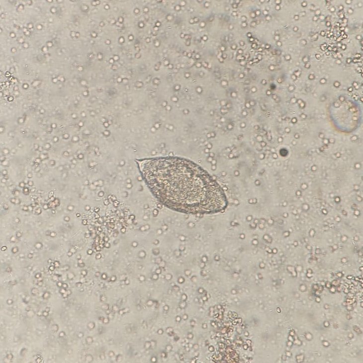 Hoy otro visitante!!