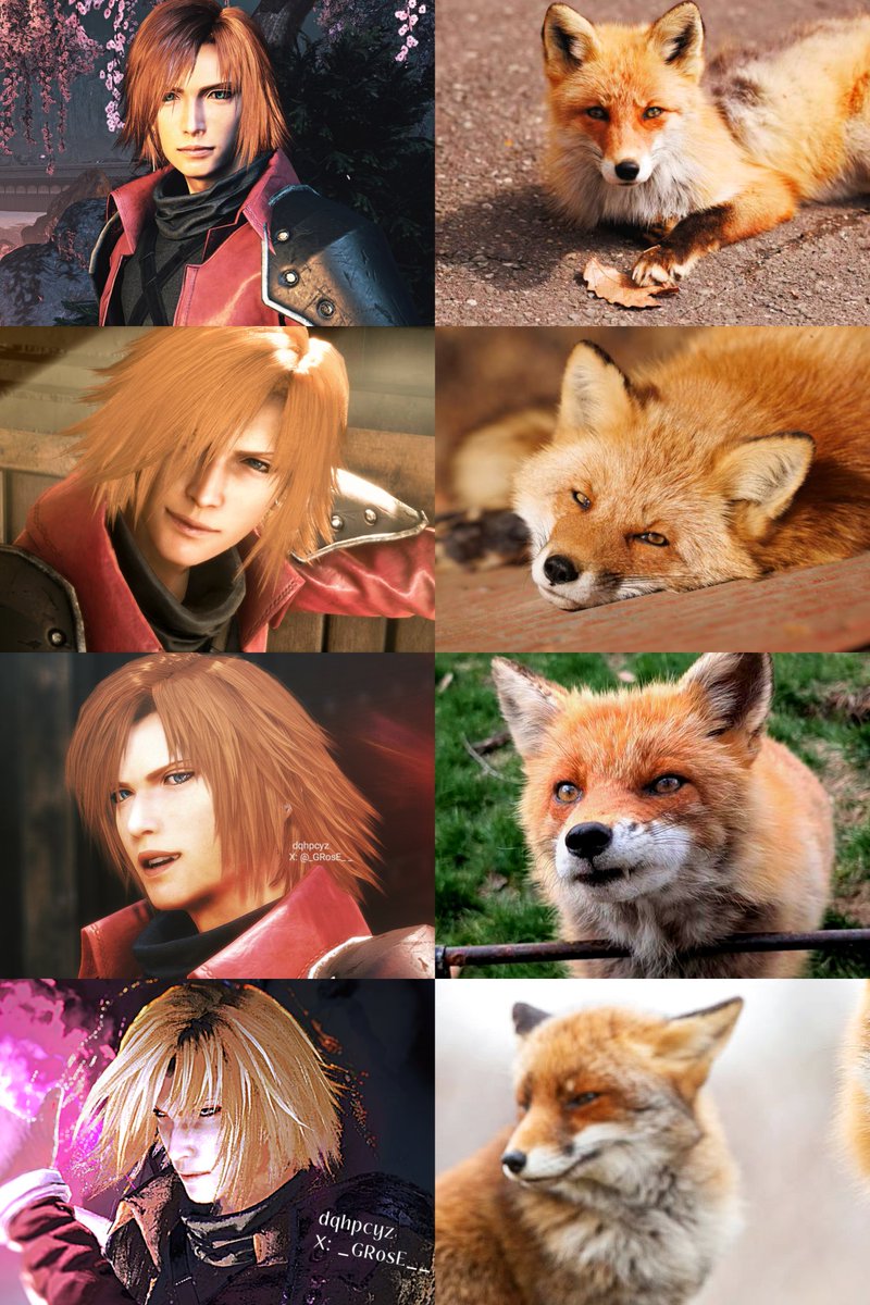 I'm trying to find the difference between them and the conclusion is that there is no difference.