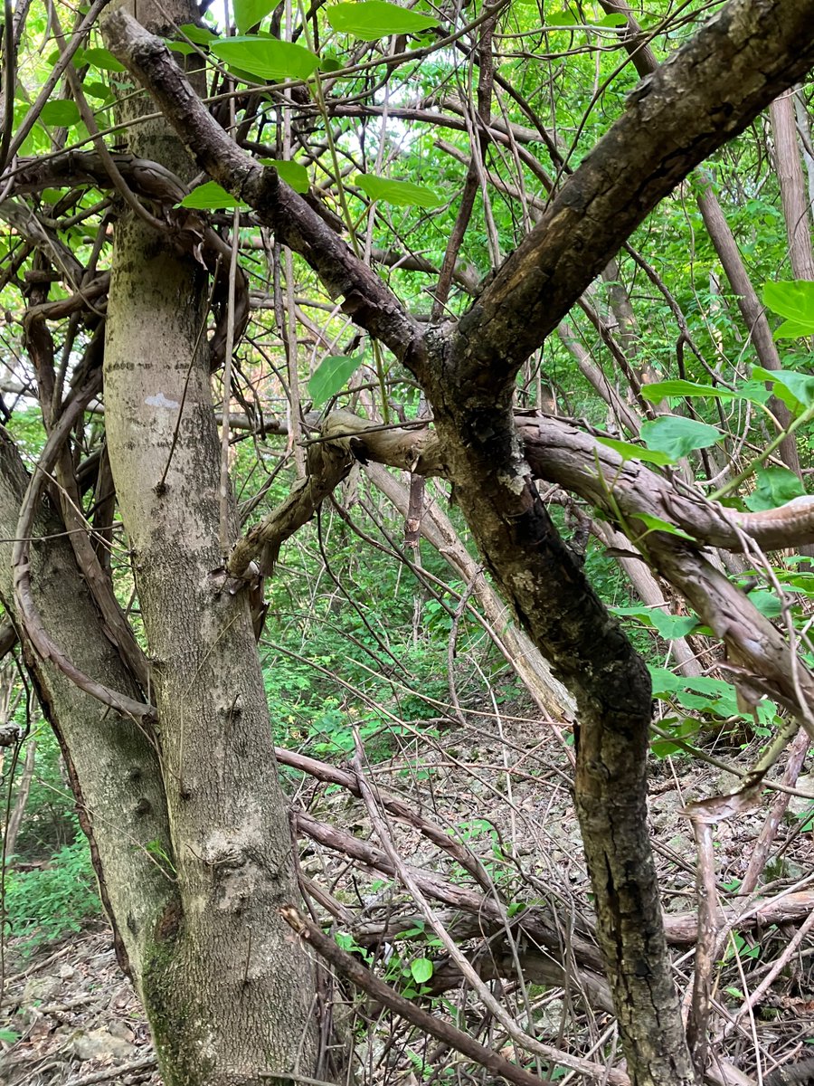 이현주 tweet media