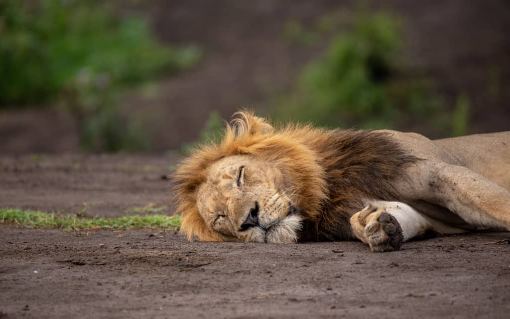 St.Etiene🇺🇬💎🗽 (@osbertovic) on Twitter photo Bubz league TV resting because it has its prey (bubz committee) kept already ....
Sunday, bubz committee shana Mugure ref.....
#BubzLeagueSnIII
<a href="/Dandukeug/">Dan Duke UG 🇺🇬🇺🇬</a> Bubz league TV resting because it has its prey (bubz committee) kept already ....
Sunday, bubz committee shana Mugure ref.....
#BubzLeagueSnIII
<a href="/Dandukeug/">Dan Duke UG 🇺🇬🇺🇬</a>