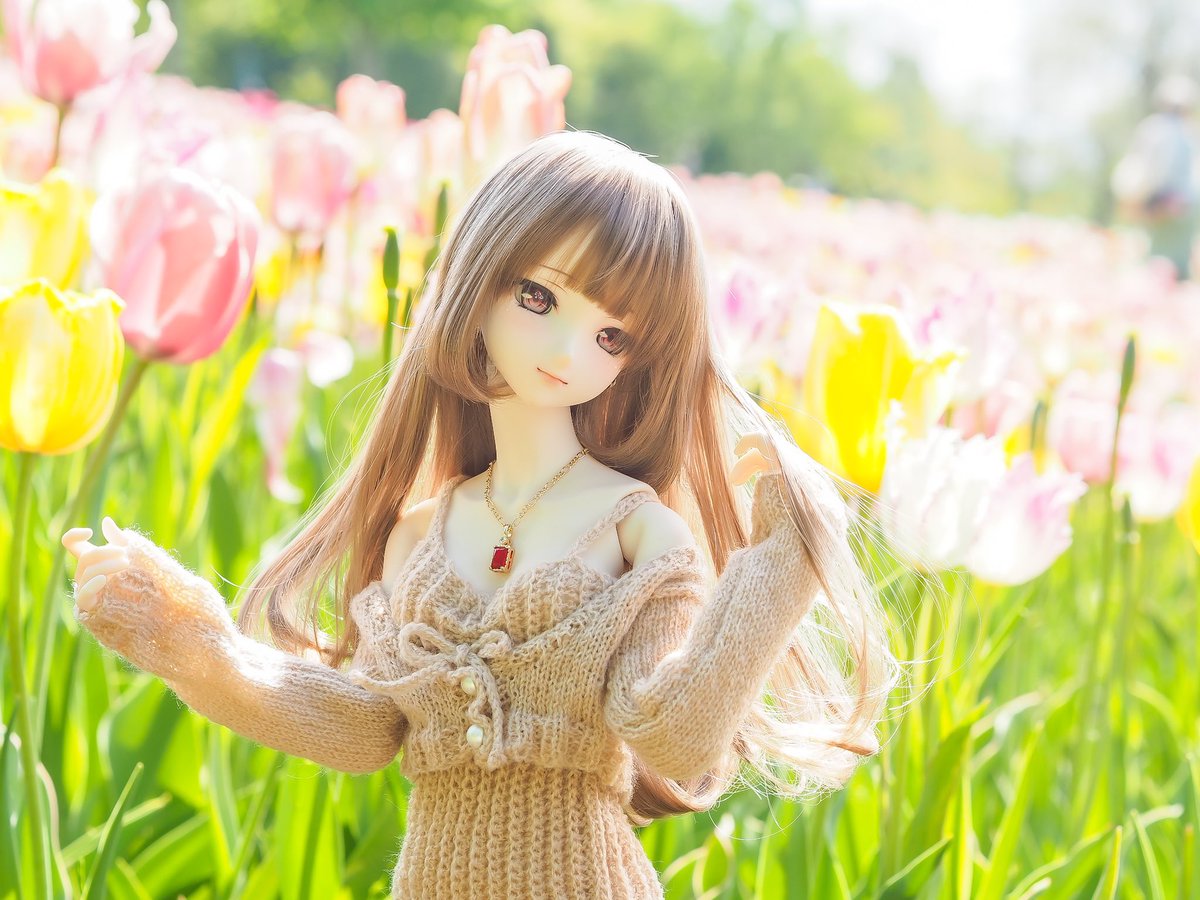 チューリップ畑で🌷