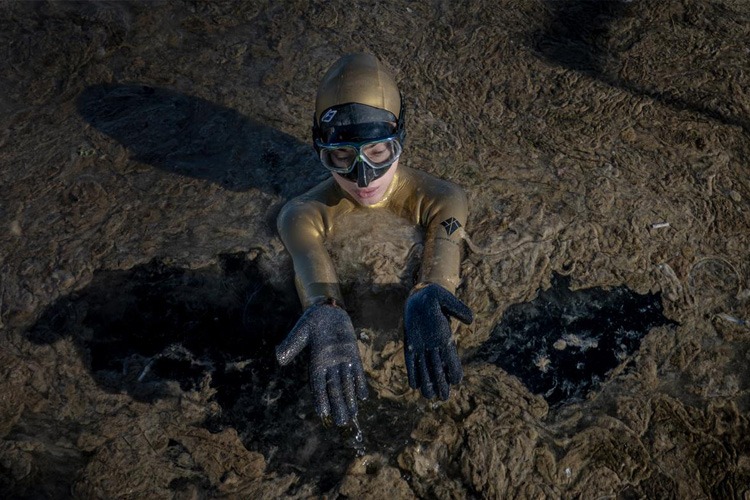 Ercümen, müsilaj için daldı

Dünya serbest dalış rekortmeni Şahika Ercümen, müsilaja dikkati çekmek için Marmara'ya umut dalışı yaptı.

haberdenizde.com/denizde-gundem…

#dünyaserbestdalışrekortmeniŞahikaErcümen #MarmaraDenizi
#müsilaj #pina 

<a href="/sahikaercumen/">Şahika Ercümen</a> <a href="/profmustafasari/">Mustafa SARI, Prof. Dr.</a>