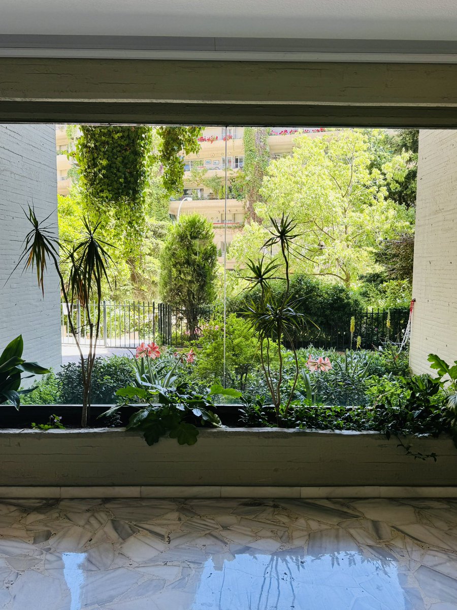 Enrique Lavigne tweet media