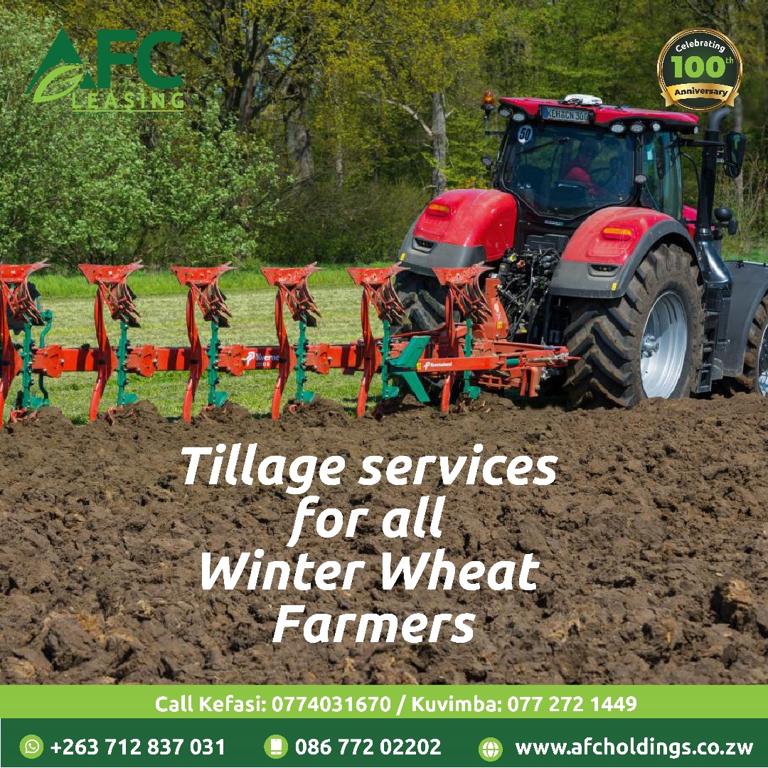 Bumper harvest starts with great tillage.