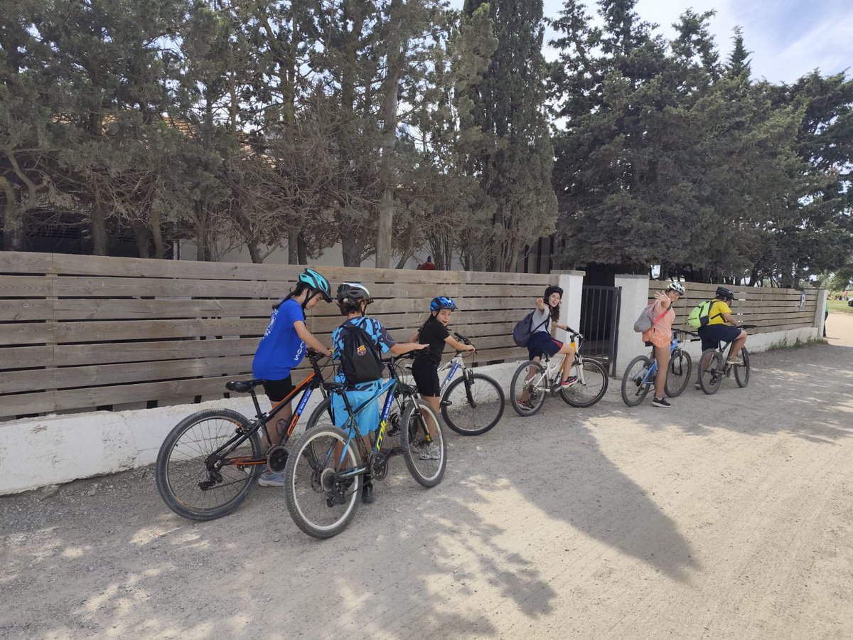 Escola Els Picots tweet media