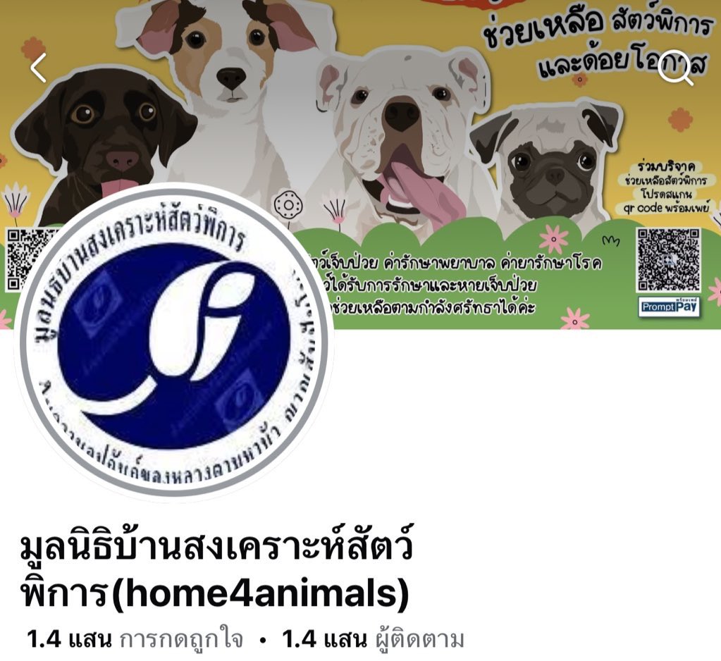 NetJJProject's tweet image. สวัสดีค่า วันนี้พี่คาปิมาแจ้งข่าวเรื่องบริจาคนะคะ พี่คาปิโอนเงินบริจาคให้กับมูลนิธิบ้านสงเคราะห์สัตว์พิการเรียบร้อยแล้วน้า 

ยอดบริจาคทั้งหมด 6,999.- บาทค่ะ ✨

ทางพี่ๆคาปิทุกคน ขอขอบคุณทุกๆยอดเงินบริจาคมากๆเลยนะคะ…