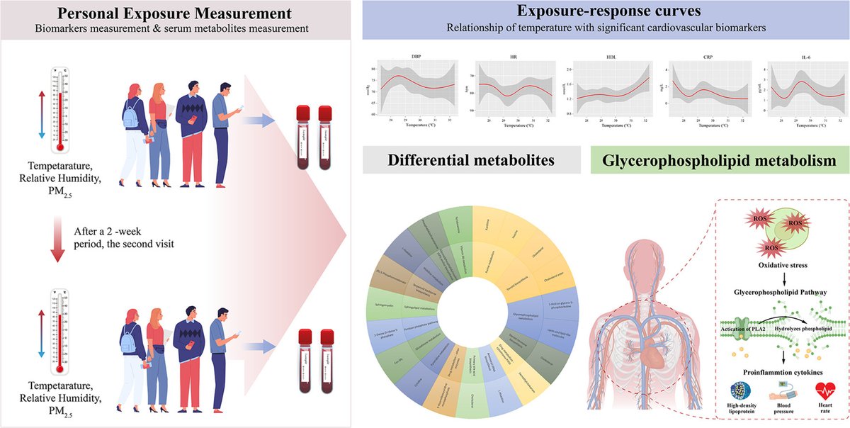 HehaEls's tweet photo. Exposure to elevated ambient temperature was associated with acute cardiovascular responses #HEHA
https://t.co/yeGq8AAA8g #Environmental Epidemiology https://t.co/vEFYosNn5J
