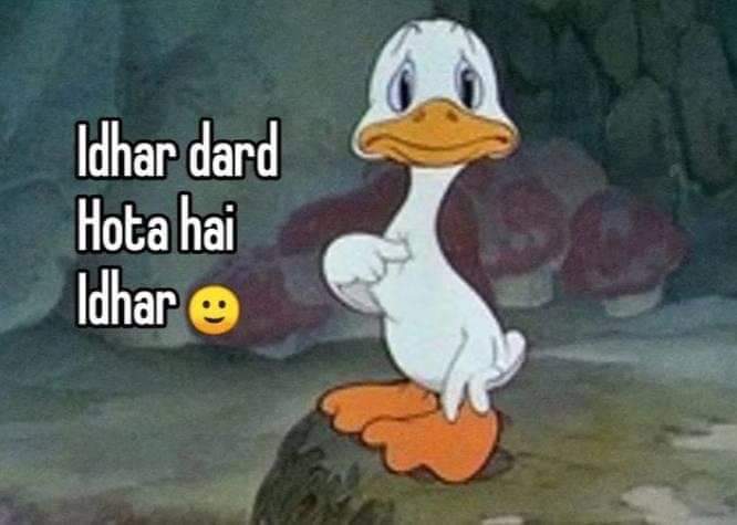 😍मेवाड़ी हूँ साहब 😊 tweet media