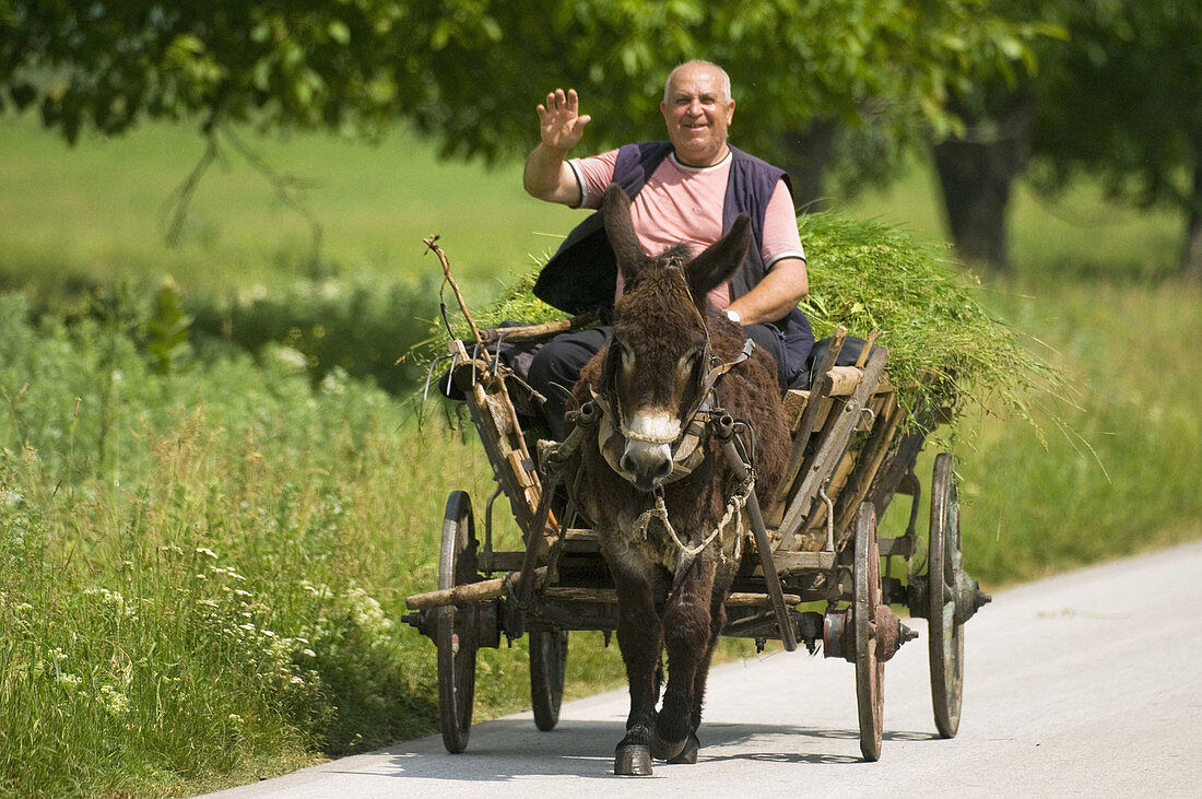 Ian Skelly (@ianskellyradio3) on Twitter photo A curious piece launches our search for a playlist on Essential Classics <a href="/BBCRadio3/">BBC Radio 3</a> this morning. Your ideas please for musical directions a donkey and its driver could take us. Hear the iece at 10 and make a suggestion. A curious piece launches our search for a playlist on Essential Classics <a href="/BBCRadio3/">BBC Radio 3</a> this morning. Your ideas please for musical directions a donkey and its driver could take us. Hear the iece at 10 and make a suggestion.