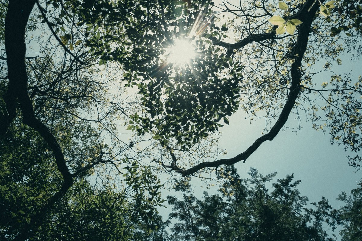 ニヤ (@niy_ayin_a) on Twitter photo 