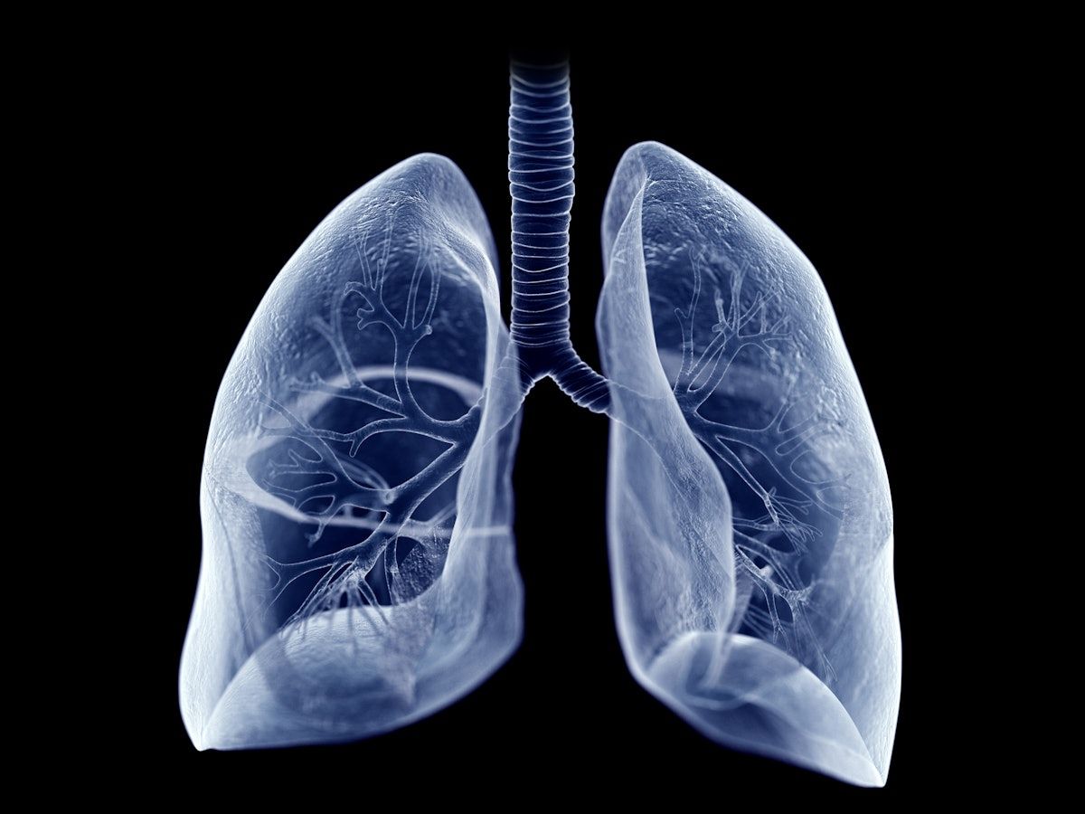 AuntMinnie.com (@auntminnie) on Twitter photo Incidental LCS findings identify lung abnormalities among Asian population <a href="/snuh_official/">Seoul National University Hospital</a> #radiology #ILA #IPF #lungcancer buff.ly/vM4Kz7Q Incidental LCS findings identify lung abnormalities among Asian population <a href="/snuh_official/">Seoul National University Hospital</a> #radiology #ILA #IPF #lungcancer buff.ly/vM4Kz7Q