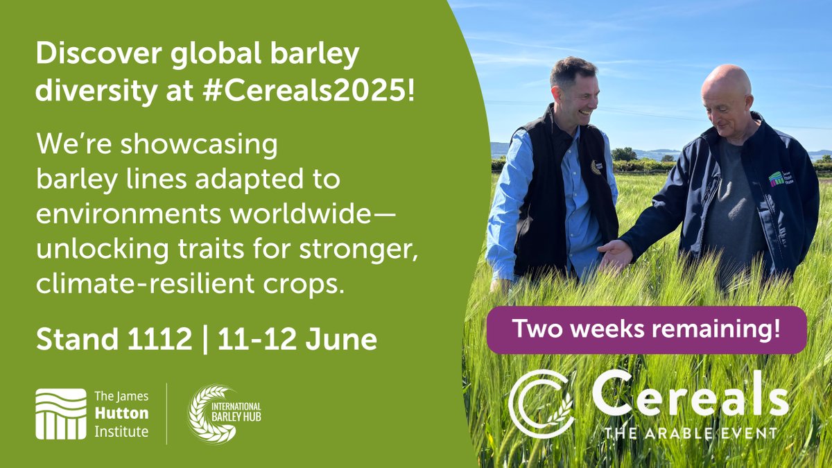 James Hutton Institute (@jameshuttoninst) on Twitter photo Just 2 weeks to go! We’re at <a href="/CerealsEvent/">Cereals Event</a> showcasing how locally adapted #barley can mitigate #ClimateChange 🌾🌡️
Joining us on our stand is #FieldenWhisky 🥃
📅 11–12 June | 📍Heath Farm, Stand 1112
<a href="/IntBarleyHub/">International Barley Hub</a> | <a href="/JamesHuttonLtd/">The James Hutton Institute Scientific Services</a> | #Cereals2025
🎟️: ow.ly/Kbcz50VZl6w Just 2 weeks to go! We’re at <a href="/CerealsEvent/">Cereals Event</a> showcasing how locally adapted #barley can mitigate #ClimateChange 🌾🌡️
Joining us on our stand is #FieldenWhisky 🥃
📅 11–12 June | 📍Heath Farm, Stand 1112
<a href="/IntBarleyHub/">International Barley Hub</a> | <a href="/JamesHuttonLtd/">The James Hutton Institute Scientific Services</a> | #Cereals2025
🎟️: ow.ly/Kbcz50VZl6w