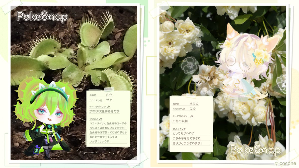 pokecolo_jp's tweet photo. GW特別キャンペーン
PokeSnapご紹介②🎉
参加してくれた皆さま、
素敵な #pokesnap の投稿
ありがとうございました!
今回選ばれた #pokesnap は
コメントをいただいて
可愛くまとめちゃいました🩵
次回もたくさんの #pokesnap の
投稿お待ちしております ✨
スナップの皆さま
@poke_chamu
@yuyusonu_yuro
@meronpan_0218
@komehago
@cvg4vc
@mafuyupoke
@haruka_pokepia
@c5iimb