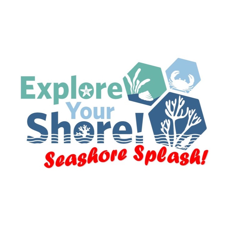 Biodiversity Ireland (@biodatacentre) on Twitter photo 608 records were submitted for our #SeashoreSplash during #BiodiversityWeek2025! 🦀🌊 Huge thanks to everyone who took part! 🥳 Cork, Wexford & Galway led the leaderboard, and the Shore Crab 🦀 scuttled its way to the top of the species list! 👉 exploreyourshore.ie/surveys/seasho… 608 records were submitted for our #SeashoreSplash during #BiodiversityWeek2025! 🦀🌊 Huge thanks to everyone who took part! 🥳 Cork, Wexford & Galway led the leaderboard, and the Shore Crab 🦀 scuttled its way to the top of the species list! 👉 exploreyourshore.ie/surveys/seasho…
