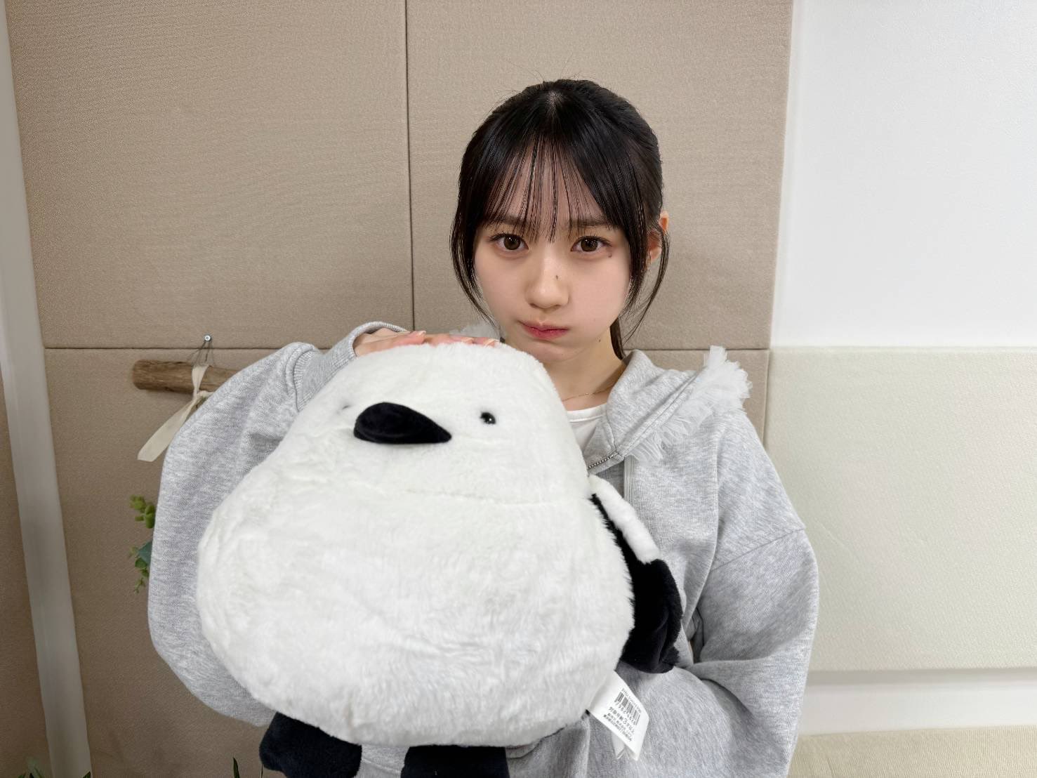 乃木坂46 on X: 