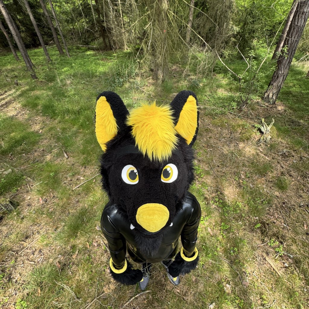 Shiny uppies pls. 👉👈