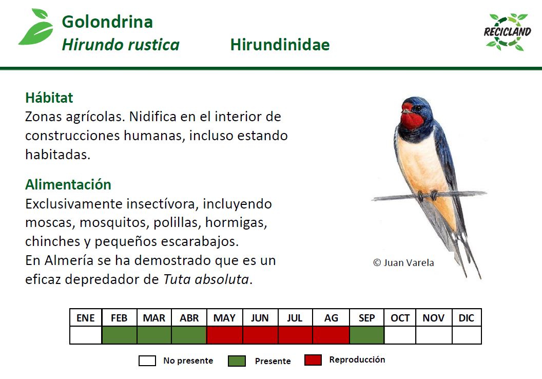La <a href="/AndaluciaJunta/">Junta de Andalucía</a> publica una guía para fomentar la #biodiversidad y el control de plagas en #invernaderos mediante el #reciclaje♻️

El #IFAPA ha elaborado un documento que facilita la identificación de #plantas autóctonas, #insectos y #vertebrados  🪲

🌐lajunta.es/5nmwp