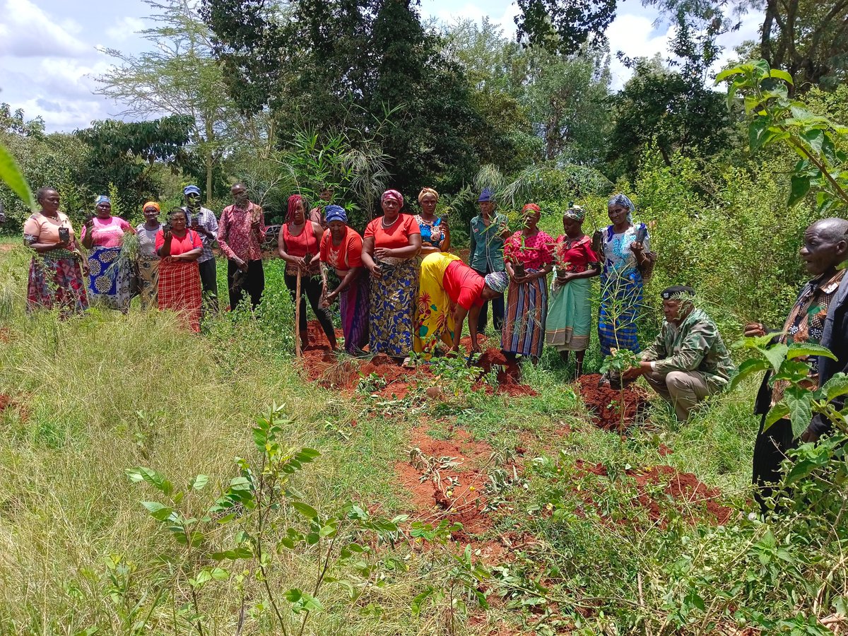 Community led forests and ecosystem restoration is the solution to sustainable forests for health and agri-foods. Women and youths should be at the fore front as local champions. Utuneni Forest
<a href="/Eng_F_Ngeno/">Dr. Eng. Festus K. Ng’eno, MIEK, CBS</a> 
<a href="/CIFOR_ICRAF/">CIFOR-ICRAF</a> 
<a href="/KeForestService/">Kenya Forest Service</a> 
<a href="/Environment_Ke/">Ministry of Environment, Climate Change & Forestry</a> 
<a href="/OfficialMakueni/">Makueni County Government</a>