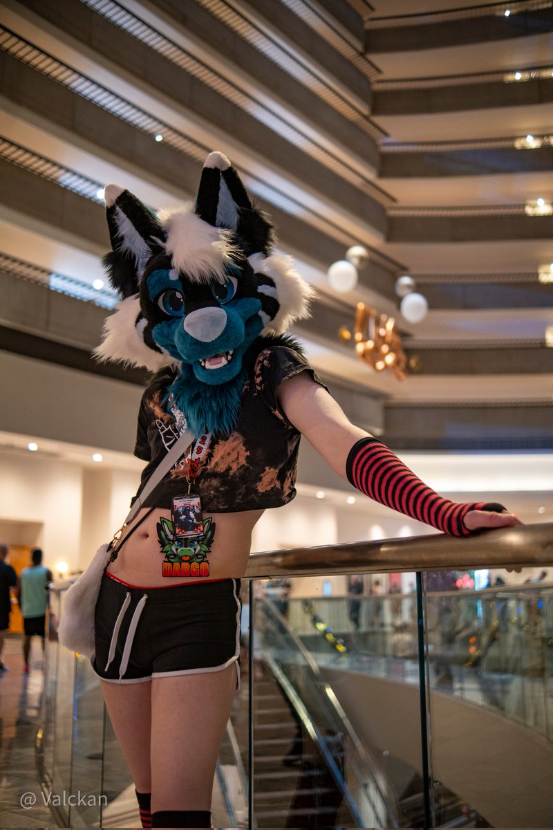"Why am I always BOTTOM?!"
...ah yeah I see 😅
📸 <a href="/Valckan/">Valckan 🔜 AC</a>