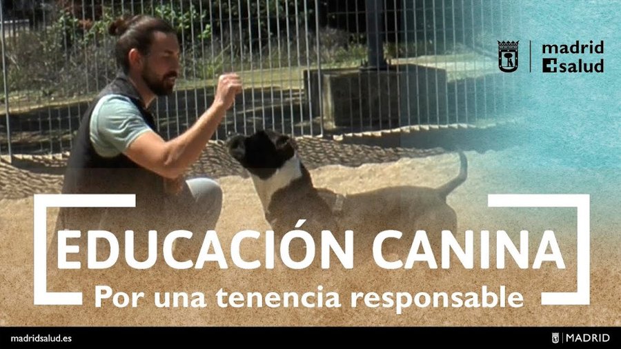 Línea Madrid (@lineamadrid) on Twitter photo Por una tenencia responsable... 🐕
«Educación canina» por <a href="/madridsalud/">Madrid Salud. Ayuntamiento de Madrid</a> 👉 bit.ly/3Abfk8b
#AdoptaNoCompres #Animales Por una tenencia responsable... 🐕
«Educación canina» por <a href="/madridsalud/">Madrid Salud. Ayuntamiento de Madrid</a> 👉 bit.ly/3Abfk8b
#AdoptaNoCompres #Animales