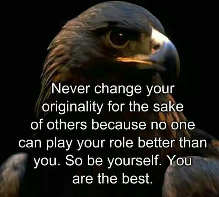 Favourite Ventures (@frank42287392) on Twitter photo 