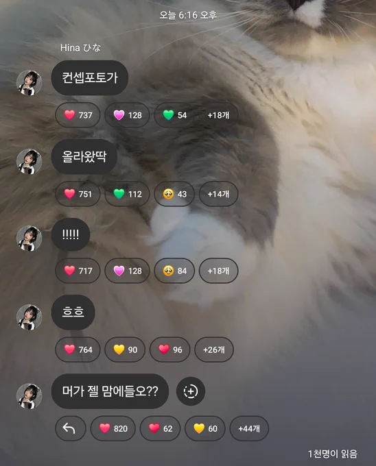 @Weekly_QWER: May,28,2025 Hina instagram broadcast channel The concept photos are up!!!!! Hehe Which one do you like the most?#QWER #HINA #냥뇽녕냥 #히나 #큐떱 #ㅋㄸ