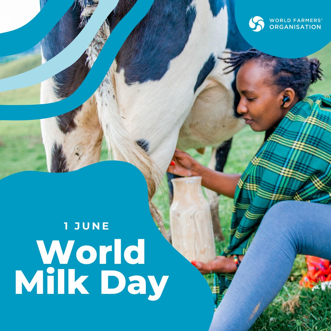 WFO (@worldfarmersorg) on Twitter photo For #farmers, dairy is more than just a product — it's:
👩🌾A livelihood for rural communities
🧀A nutrient-rich food for healthy, balanced diets
🍃A key sector for driving sustainable development
Are you a dairy lover? Drop a🤍to celebrate #WorldMilkDay!
<a href="/WorldMilkDay/">WorldMilkDay 🐮</a> For #farmers, dairy is more than just a product — it's:
👩🌾A livelihood for rural communities
🧀A nutrient-rich food for healthy, balanced diets
🍃A key sector for driving sustainable development
Are you a dairy lover? Drop a🤍to celebrate #WorldMilkDay!
<a href="/WorldMilkDay/">WorldMilkDay 🐮</a>