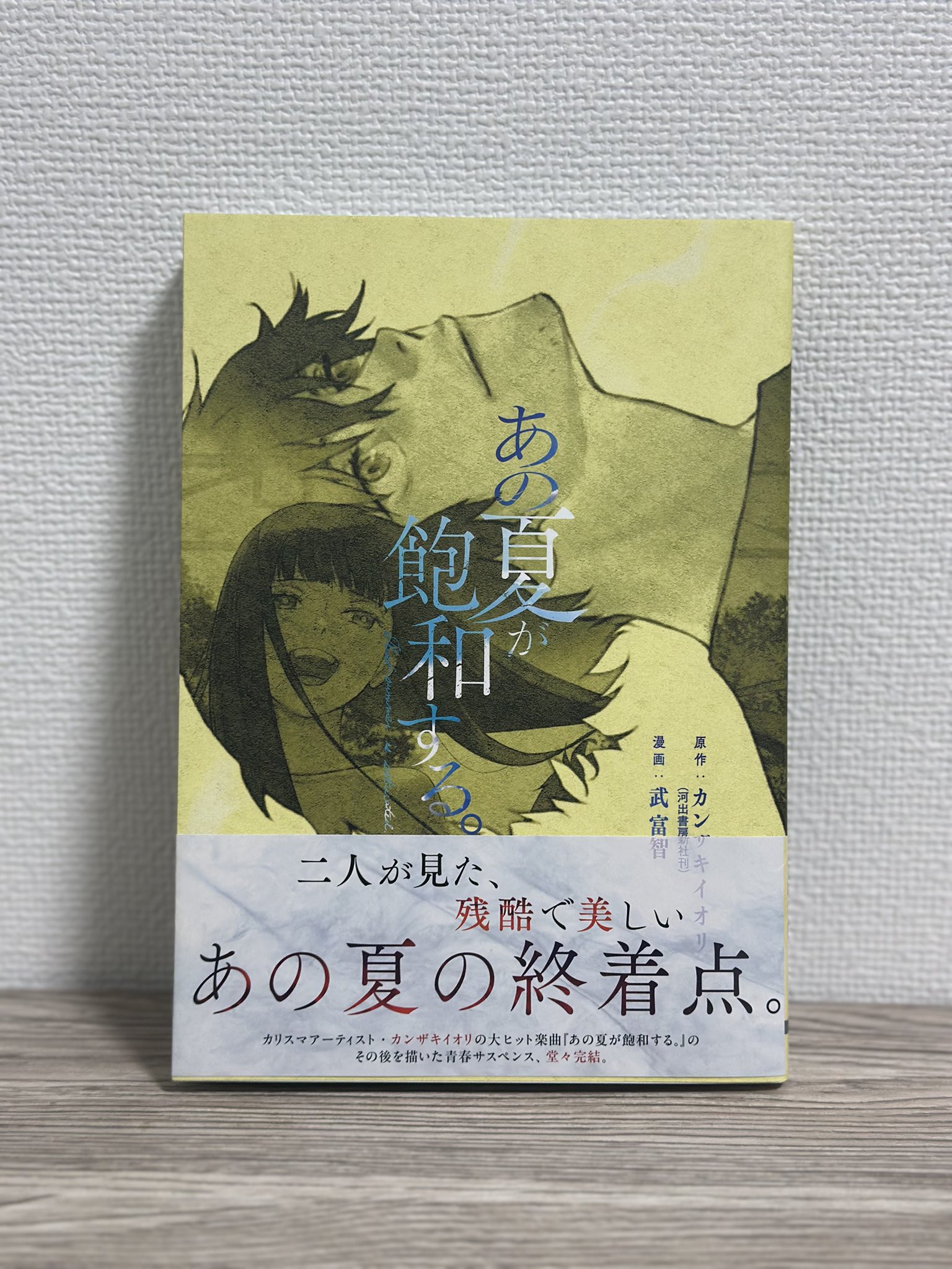 カンザキイオリ 獣 上・下巻 小説のみ カンザキイオリ 獣 上・下巻 小説のみ