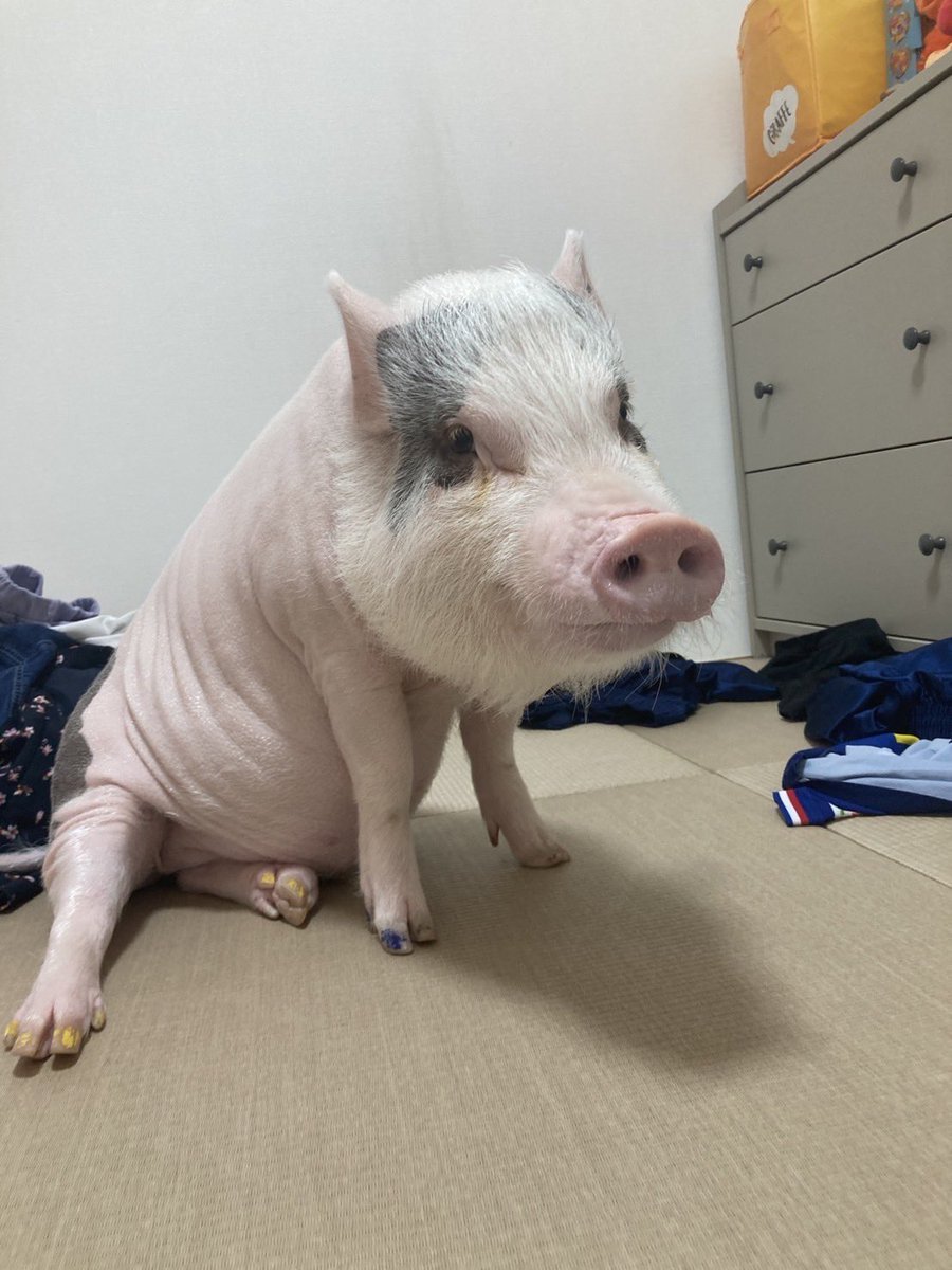 ストレッチ中なの。