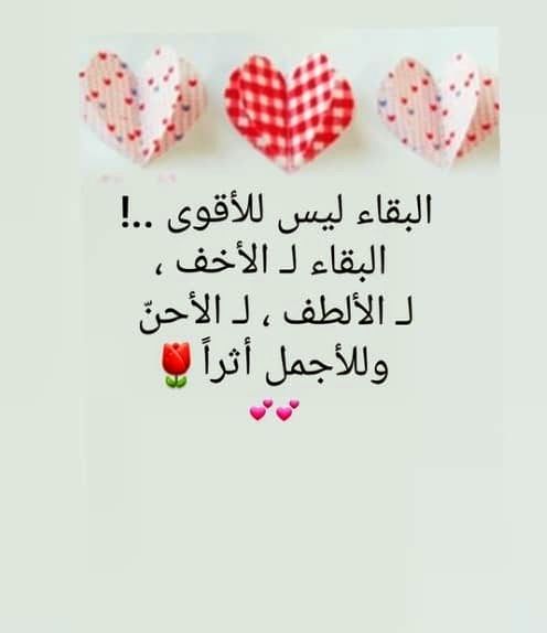 ثًـــــــــروٌةّ... 
آلَآنِسِآنِ التي لا تفنى.. 
"الأثــــــــــر الطـــــــيب" 
ڪن أثرطيب حيث حللت 
لا تدري في أية حرف 
يجعله الرحمن هداية قلب 
في الظلمات شريد..
