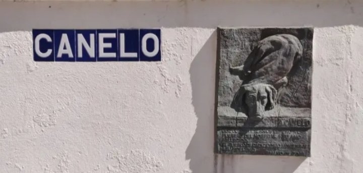 Canelo fue un perro que esperó 12 años fuera del Hospital Puerta del Mar en Cádiz a su dueño... sin saber que este había fallecido. Lo esperó hasta el final. 

Hoy tiene una calle con su nombre en Cádiz. Lealtad perruna siempre 🐶🐕😍
