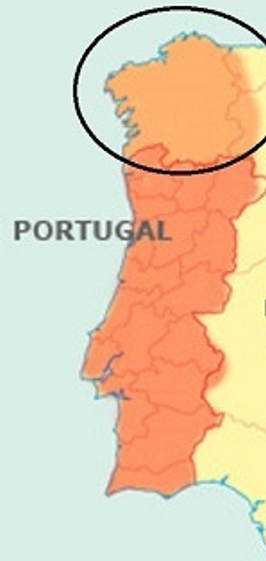 1. Ens hauríem d'adonar que el gallec ja és oficial a la Unió Europea. I no entenc com és que els galleguistes no ho fan valdre!

És així perquè el gallec és galaicoportuguès, la llengua que inclou el portuguès de Portugal.

Imaginau-vos que el valencià fos oficial a la UE +