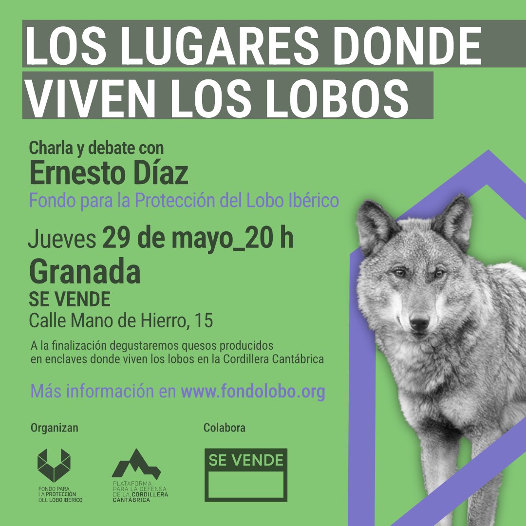 📍 Charla sobre la protección del lobo ibérico en Granada con Ernesto Díaz. Será el Jueves 29 de mayo a las 20 h. Más info enwww.fondolobo.org 🐺 #LoboVivo #DefiendoElLobo #ElLoboEsVida