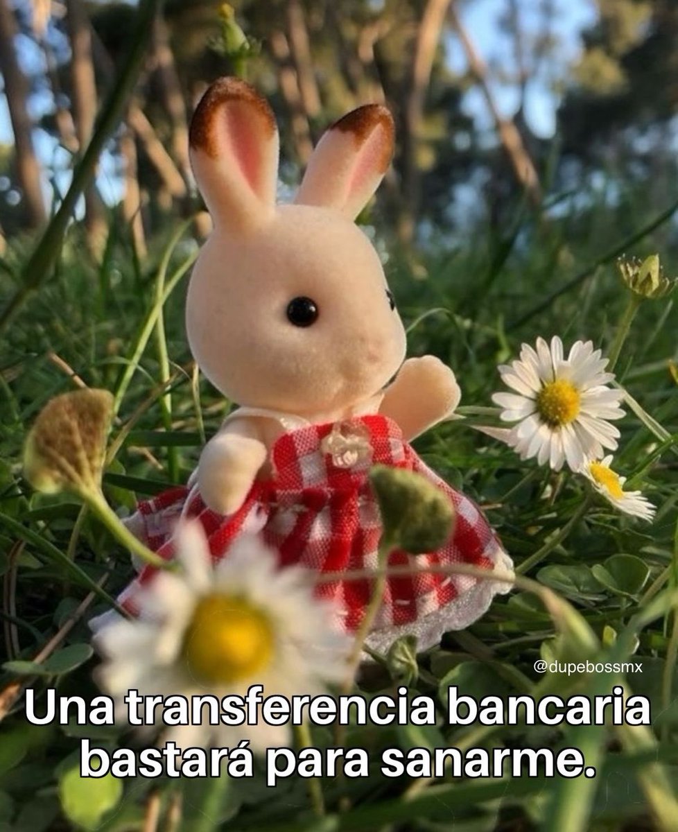 cuando cobramos?