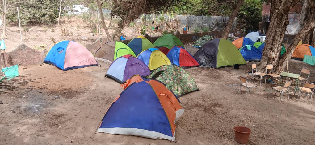 Los 58 alumnos y alumnas de 6º de la Escola El Palmeral vivieron una experiencia inolvidable en la XIII Excursión Escolar en Varela 🌿📚 Tres días de actividades, naturaleza y aprendizaje significativo. ¡Así da gusto aprender! 💚 #AprenderViviendo 
kasumai.org/aprender-vivie…