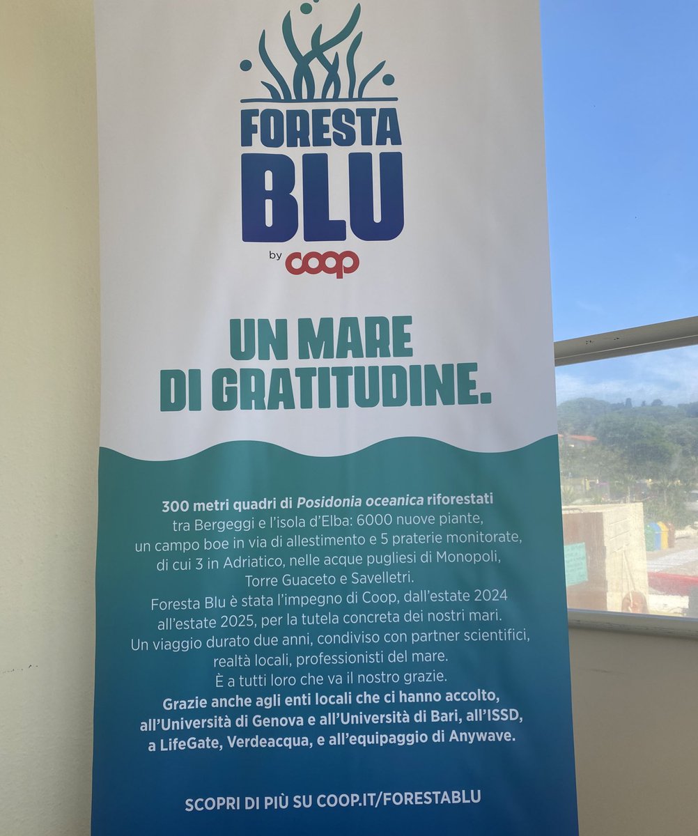 I primi risultati per “Foresta Blu”, campagna di Coop per il monitoraggio, il ripristino e la protezione di tratti di praterie di Posidonia nei mari italiani. All’Isola d’Elba riforestati gli ultimi 100 metri quadrati con altre 2000 talee di Posidonia

coop.it/forestablu