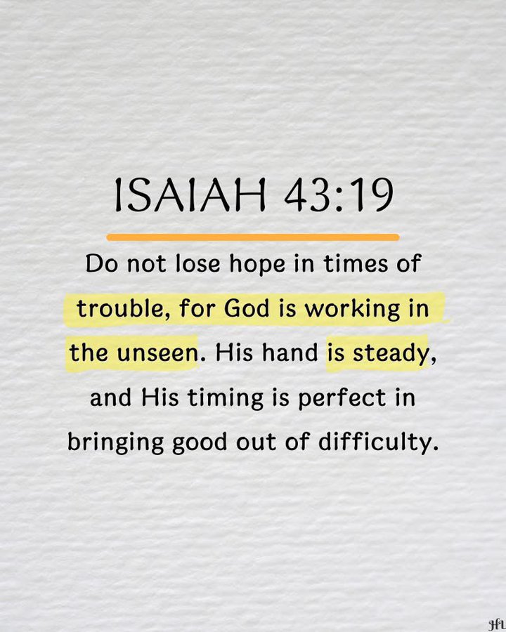 Bible 365 tweet media