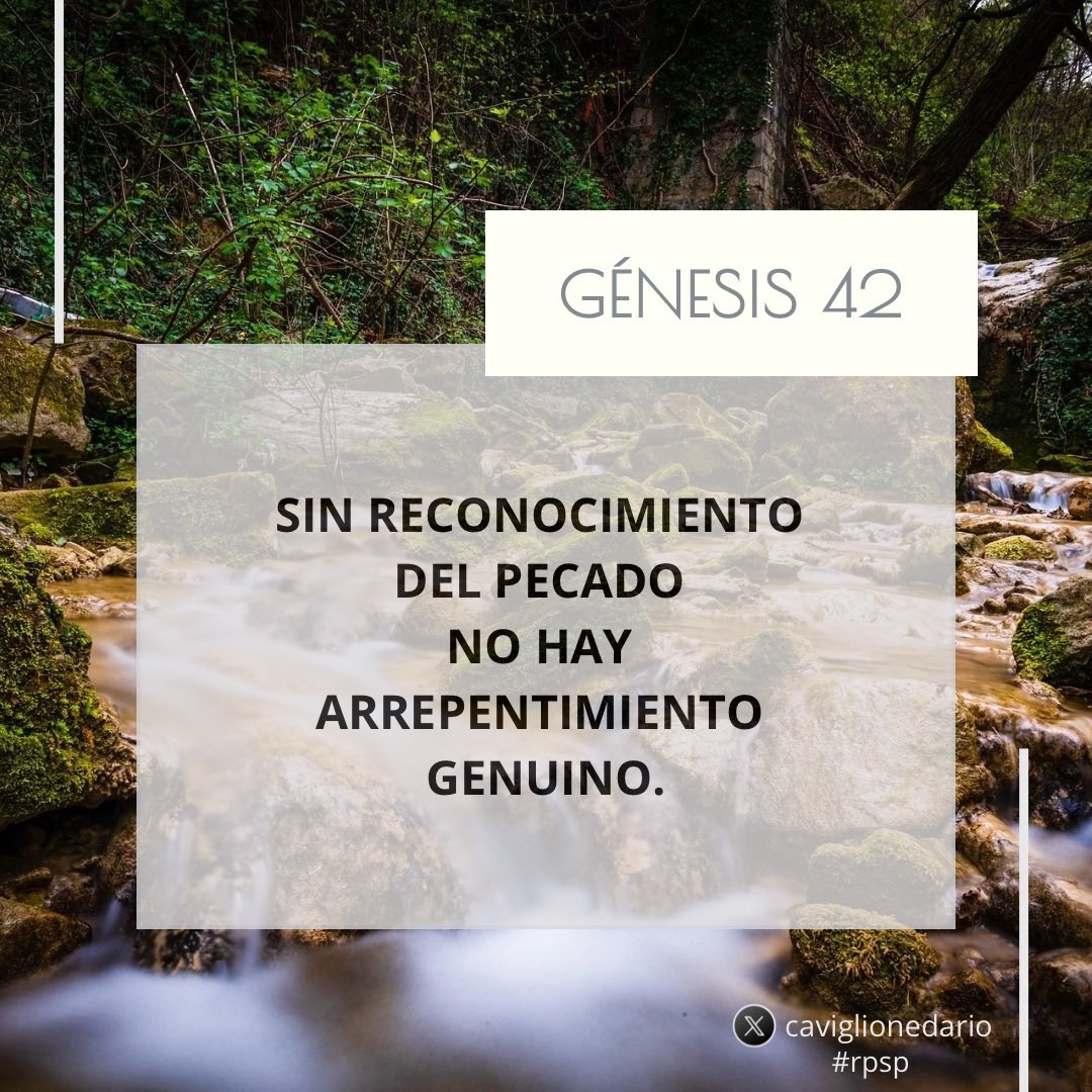 Hoy leemos Génesis 42.
#rpsp
#PrimeroDios
#ArgentinaOra247
#ReavivadosPorSuPalabra