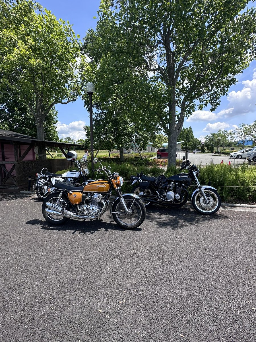 同等品最安値で無ければ値下げします！様用(⁠◡⁠ ⁠ω⁠ ⁠◡⁠) 類似獅子丸(@orzddd123) / Posts / X