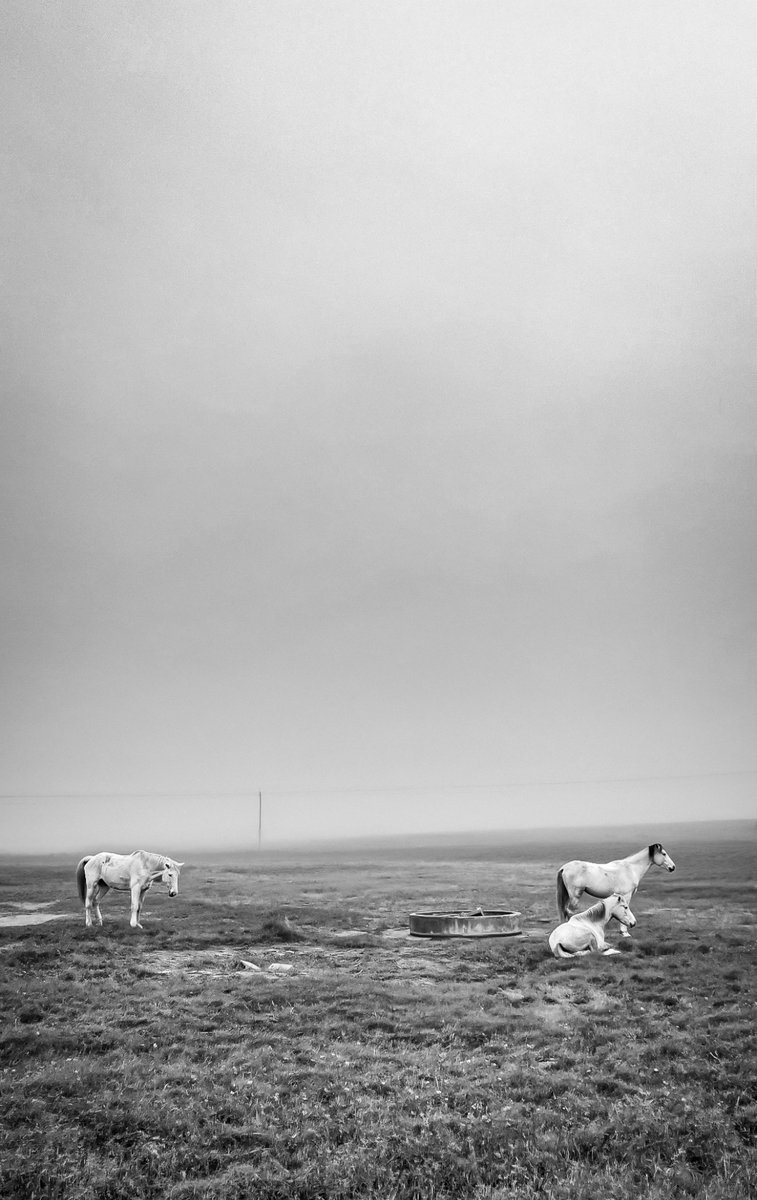 I 💛 Darling Newsletter - mailchi.mp/78b3c7137186/i…

Click on Facebook Page Newsletter tab to subscribe to this weekly newsletter.

PHOTO:  Stephen Duckitt